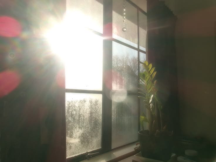 Sunlight coming through a window